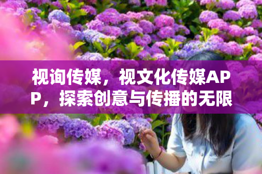 视询传媒,视文化传媒APP,探索创意与传播的无限可能 视询传媒,视文化传媒APP,探索创意与传播的无限可能
