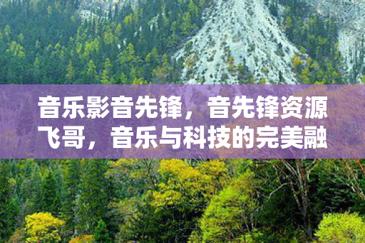 音乐影音先锋,音先锋资源飞哥,音乐与科技的完美融合 音乐影音先锋,音先锋资源飞哥,音乐与科技的完美融合