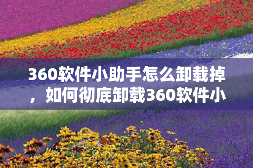 360软件小助手怎么卸载掉,如何彻底卸载360软件小助手 360软件小助手怎么卸载掉,如何彻底卸载360软件小助手
