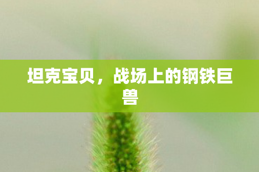 坦克宝贝,战场上的钢铁巨兽 坦克宝贝,战场上的钢铁巨兽