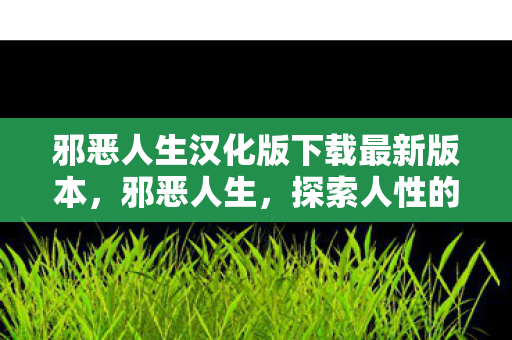 邪恶人生汉化版下载最新版本,邪恶人生,探索人性的阴暗面 邪恶人生汉化版下载最新版本,邪恶人生,探索人性的阴暗面