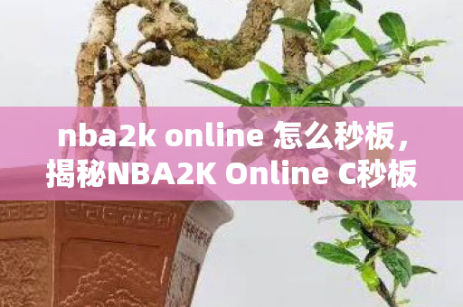 nba2k online 怎么秒板，揭秘NBA2K Online C秒板，掌握技巧，成为球场霸主！