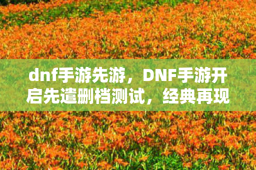 dnf手游先游,DNF手游开启先遣删档测试,经典再现,激情重燃 dnf手游先游,DNF手游开启先遣删档测试,经典再现,激情重燃