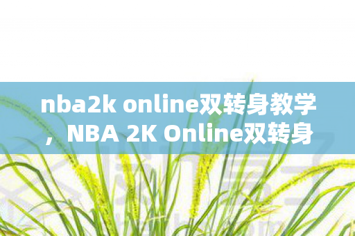nba2k online双转身教学，NBA 2K Online双转身，实战技巧与操作指南