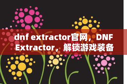 dnf extractor官网，DNF Extractor，解锁游戏装备与材料的秘密