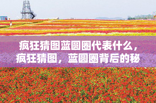 疯狂猜图蓝圆圈代表什么,疯狂猜图,蓝圆圈背后的秘密 疯狂猜图蓝圆圈代表什么,疯狂猜图,蓝圆圈背后的秘密