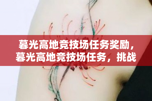 暮光高地竞技场任务奖励，暮光高地竞技场任务，挑战与荣耀的交汇点