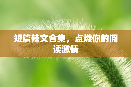 短篇辣文合集，点燃你的阅读激情