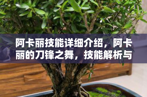 阿卡丽技能详细介绍,阿卡丽的刀锋之舞,技能解析与实战应用 阿卡丽技能详细介绍,阿卡丽的刀锋之舞,技能解析与实战应用