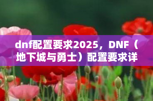 dnf配置要求2025，DNF（地下城与勇士）配置要求详解