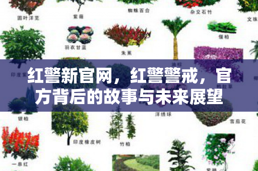 红警新官网，红警警戒，官方背后的故事与未来展望