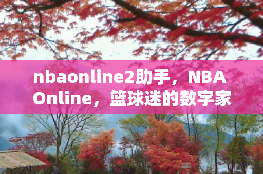 nbaonline2助手，NBA Online，篮球迷的数字家园
