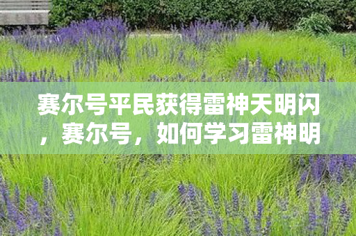 赛尔号平民获得雷神天明闪，赛尔号，如何学习雷神明闪技能