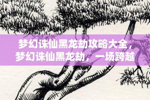 梦幻诛仙黑龙劫攻略大全，梦幻诛仙黑龙劫，一场跨越时空的冒险