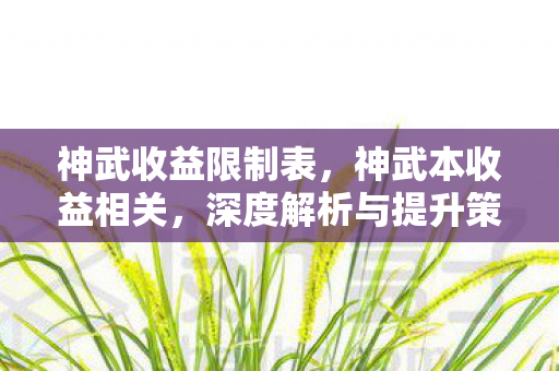 神武收益限制表，神武本收益相关，深度解析与提升策略