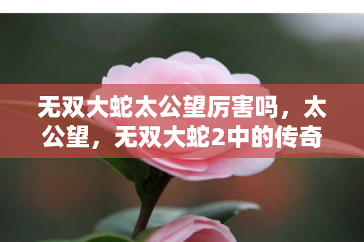 无双大蛇太公望厉害吗,太公望,无双大蛇2中的传奇智者 无双大蛇太公望厉害吗,太公望,无双大蛇2中的传奇智者