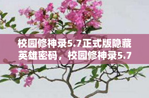 校园修神录5.7正式版隐藏英雄密码，校园修神录5.7，探索未知，挑战自我