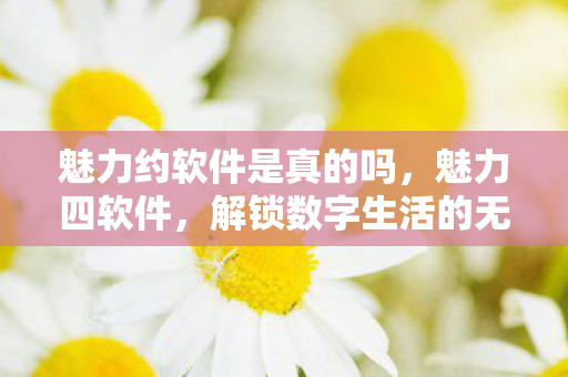 魅力约软件是真的吗，魅力四软件，解锁数字生活的无限可能