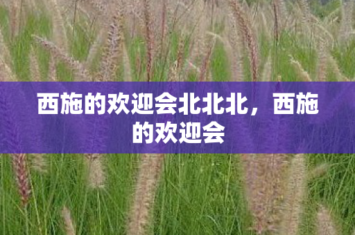 西施的欢迎会北北北,西施的欢迎会 西施的欢迎会北北北,西施的欢迎会