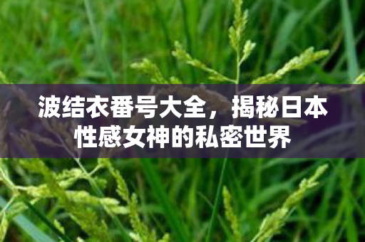 波结衣番号大全,揭秘日本性感女神的私密世界 波结衣番号大全,揭秘日本性感女神的私密世界