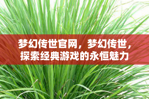 梦幻传世官网,梦幻传世,探索经典游戏的永恒魅力 梦幻传世官网,梦幻传世,探索经典游戏的永恒魅力