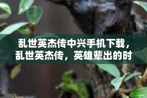 乱世英杰传中兴手机下载，乱世英杰传，英雄辈出的时代