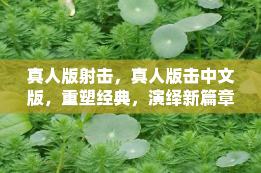 真人版射击，真人版击中文版，重塑经典，演绎新篇章