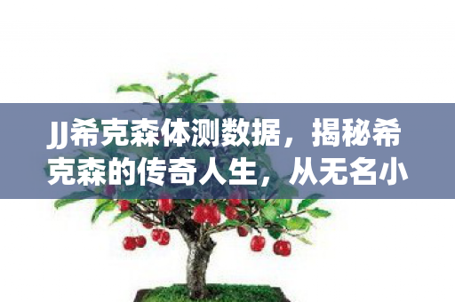 JJ希克森体测数据，揭秘希克森的传奇人生，从无名小卒到行业巨星的崛起之路