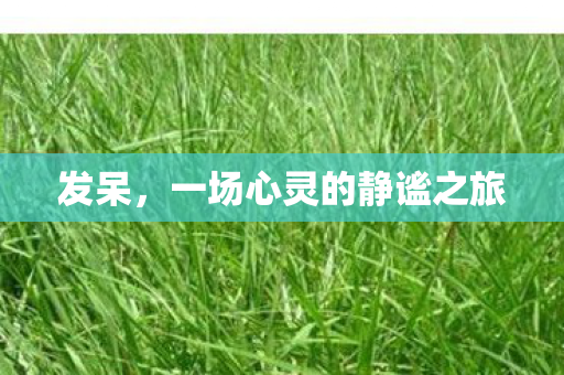 发呆,一场心灵的静谧之旅 发呆,一场心灵的静谧之旅