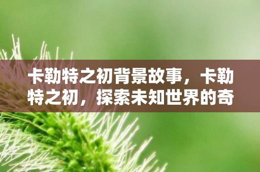 卡勒特之初背景故事,卡勒特之初,探索未知世界的奇妙旅程 卡勒特之初背景故事,卡勒特之初,探索未知世界的奇妙旅程