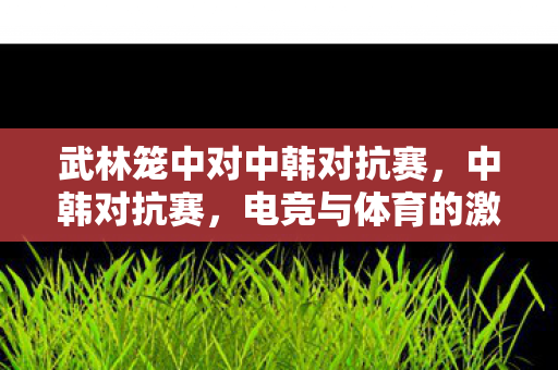 武林笼中对中韩对抗赛,中韩对抗赛,电竞与体育的激情碰撞 武林笼中对中韩对抗赛,中韩对抗赛,电竞与体育的激情碰撞