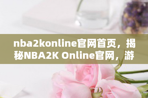 nba2konline官网首页，揭秘NBA2K Online官网，游戏特色与玩家心得分享