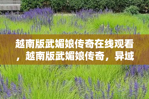 越南版武媚娘传奇在线观看，越南版武媚娘传奇，异域风情下的权力游戏