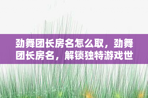 劲舞团长房名怎么取,劲舞团长房名,解锁独特游戏世界的密码 劲舞团长房名怎么取,劲舞团长房名,解锁独特游戏世界的密码