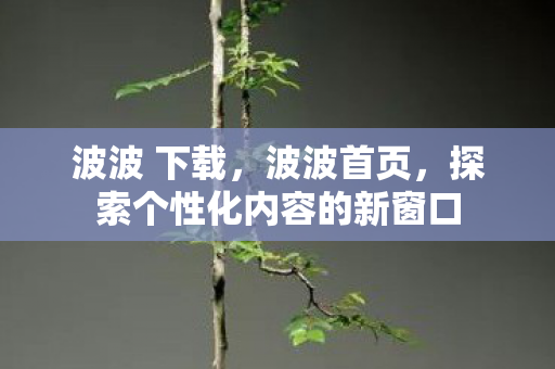 波波 下载，波波首页，探索个性化内容的新窗口