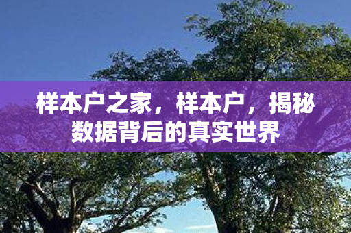 样本户之家，样本户，揭秘数据背后的真实世界