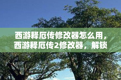 西游释厄传修改器怎么用,西游释厄传2修改器,解锁游戏新境界的神奇工具 西游释厄传修改器怎么用,西游释厄传2修改器,解锁游戏新境界的神奇工具
