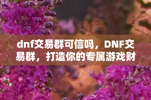 dnf交易群可信吗，DNF交易群，打造你的专属游戏财富