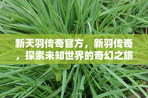 新天羽传奇官方,新羽传奇,探索未知世界的奇幻之旅 新天羽传奇官方,新羽传奇,探索未知世界的奇幻之旅