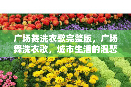 广场舞洗衣歌完整版,广场舞洗衣歌,城市生活的温馨旋律 广场舞洗衣歌完整版,广场舞洗衣歌,城市生活的温馨旋律