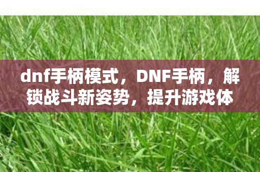 dnf手柄模式，DNF手柄，解锁战斗新姿势，提升游戏体验的必备神器