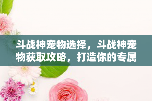 斗战神宠物选择,斗战神宠物获取攻略,打造你的专属萌宠 斗战神宠物选择,斗战神宠物获取攻略,打造你的专属萌宠
