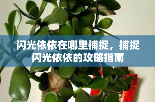 闪光依依在哪里捕捉，捕捉闪光依依的攻略指南