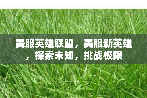 美服英雄联盟，美服新英雄，探索未知，挑战极限