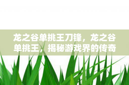 龙之谷单挑王刀锋，龙之谷单挑王，揭秘游戏界的传奇对决