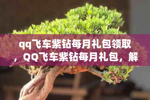 qq飞车紫钻每月礼包领取,QQ飞车紫钻每月礼包,解锁速度与激情的钥匙 qq飞车紫钻每月礼包领取,QQ飞车紫钻每月礼包,解锁速度与激情的钥匙