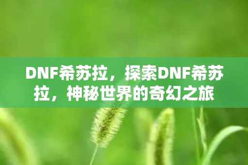 DNF希苏拉，探索DNF希苏拉，神秘世界的奇幻之旅