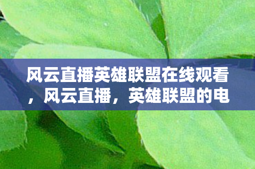 风云直播英雄联盟在线观看，风云直播，英雄联盟的电竞盛宴