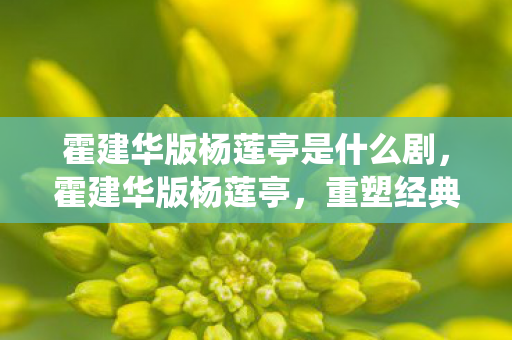 霍建华版杨莲亭是什么剧，霍建华版杨莲亭，重塑经典，演绎深情