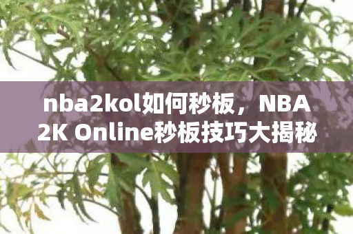 nba2kol如何秒板，NBA2K Online秒板技巧大揭秘